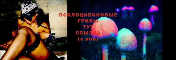 амф Аркадак
