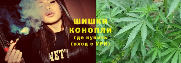 гидра Приозерск